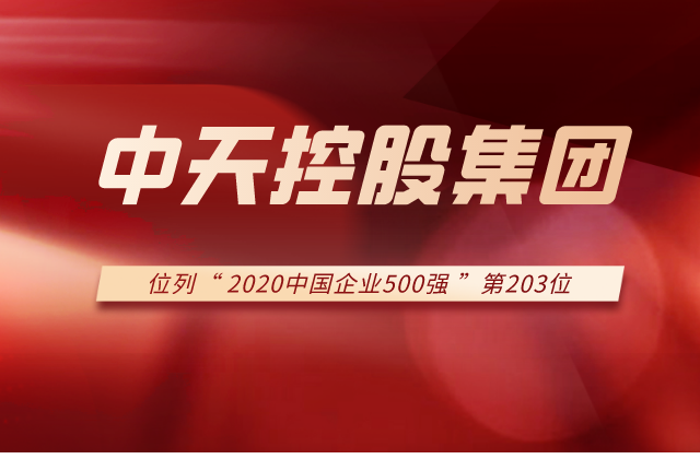 PG国际集团列2020中国企业500强第203位！
